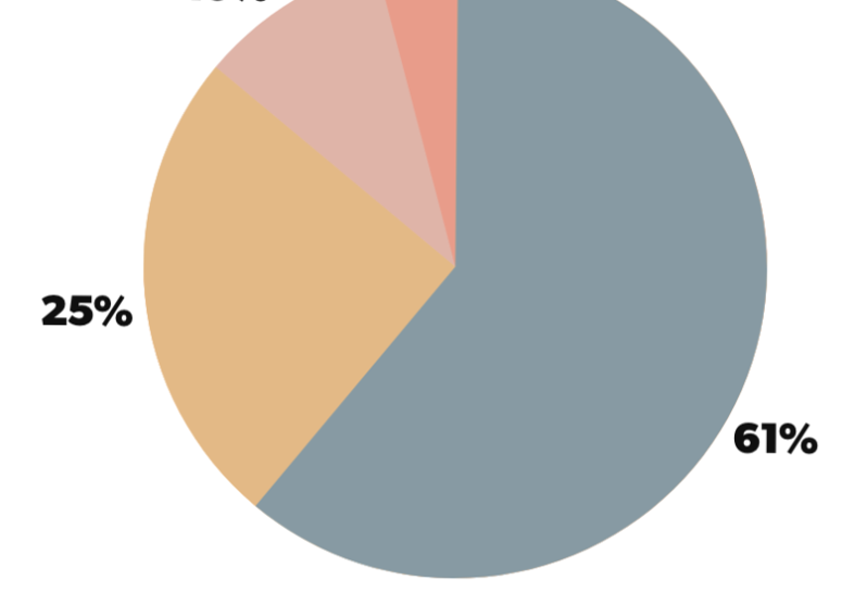Appgate Fraud Attack Types in H1 2024 - Fraud Protection