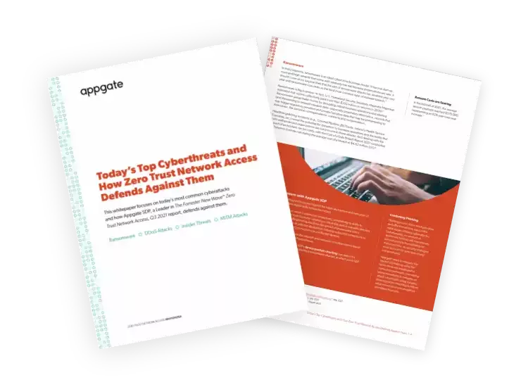 Cyberthreats-whitepapers