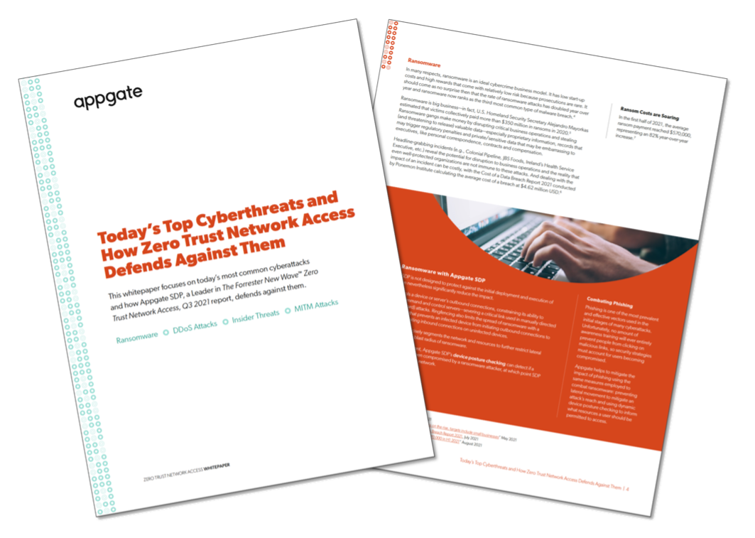 Today’s Top Cyberthreats and How Zero Trust Network Access Defends Against Them